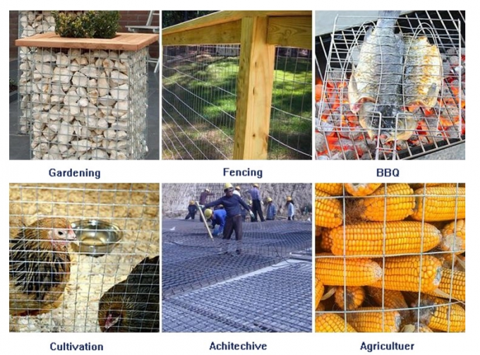 BWG23 ζωικό πλέγμα καλωδίων κλουβιών 1/2inch ενωμένο στενά ανοξείδωτο 201 βαθμός 1